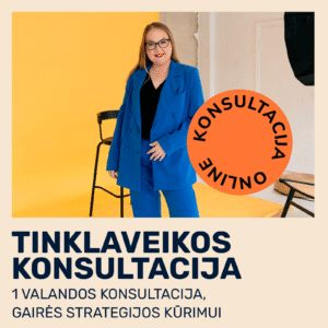 Tinklaveikos konsultacija su gairėmis strategijos kūrimu (trukmė 1 val.)